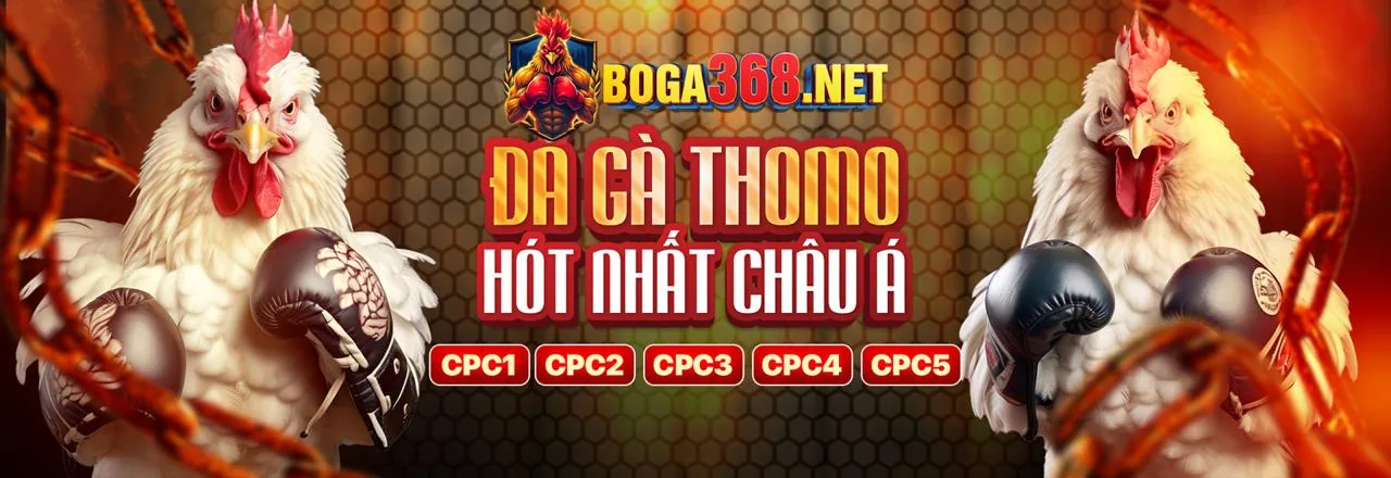 Đá gà trực tuyến 42win